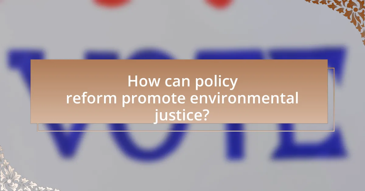 How can policy reform promote environmental justice?