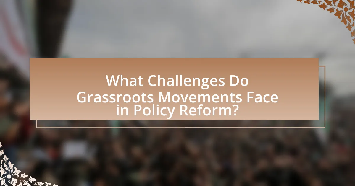 What Challenges Do Grassroots Movements Face in Policy Reform?