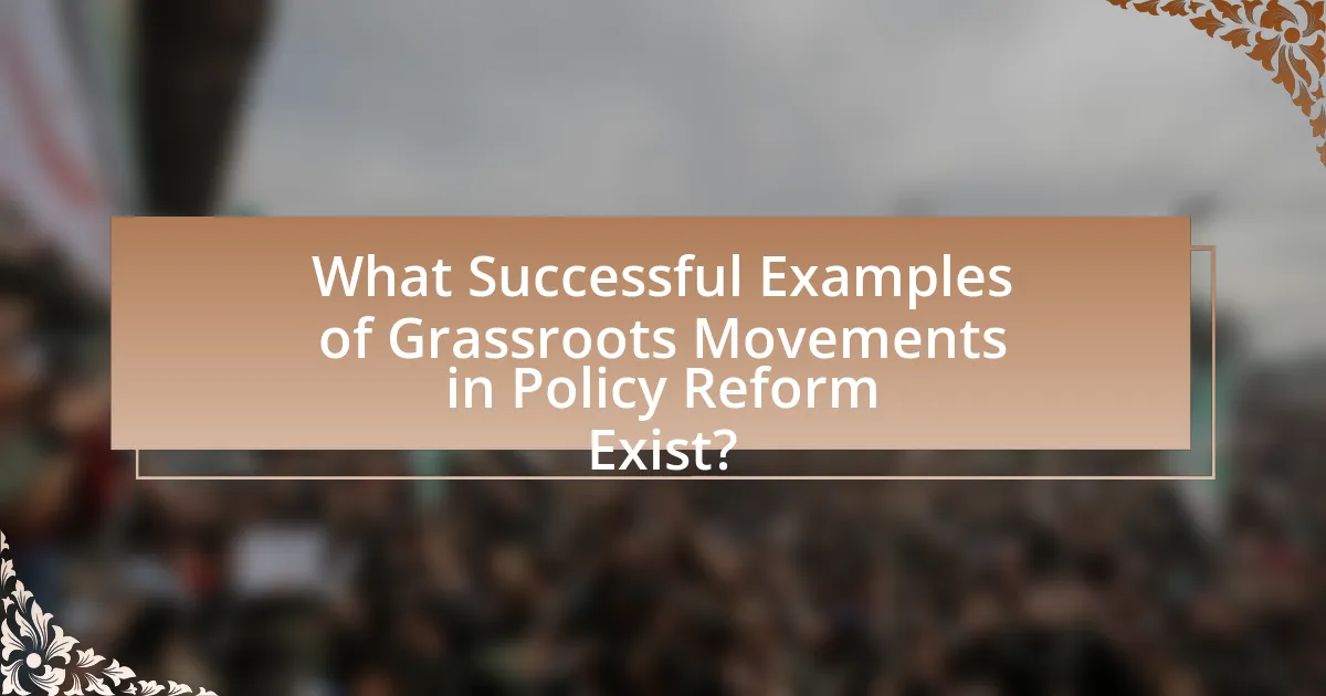 What Successful Examples of Grassroots Movements in Policy Reform Exist?
