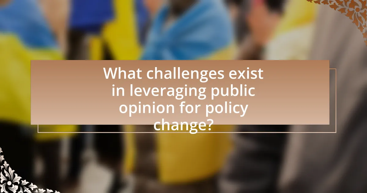 What challenges exist in leveraging public opinion for policy change?