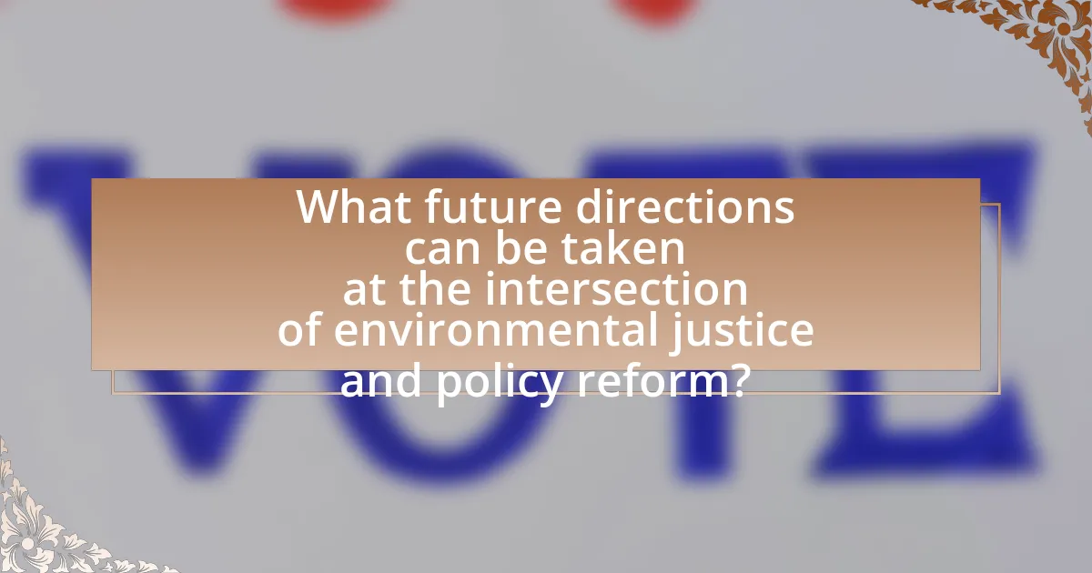 What future directions can be taken at the intersection of environmental justice and policy reform?