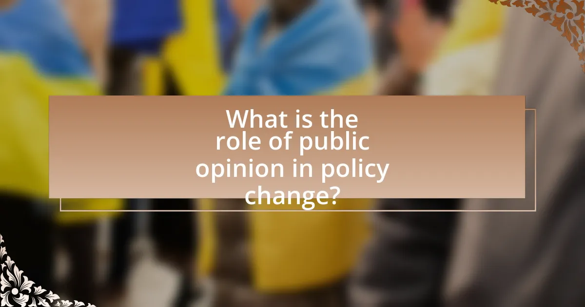 What is the role of public opinion in policy change?