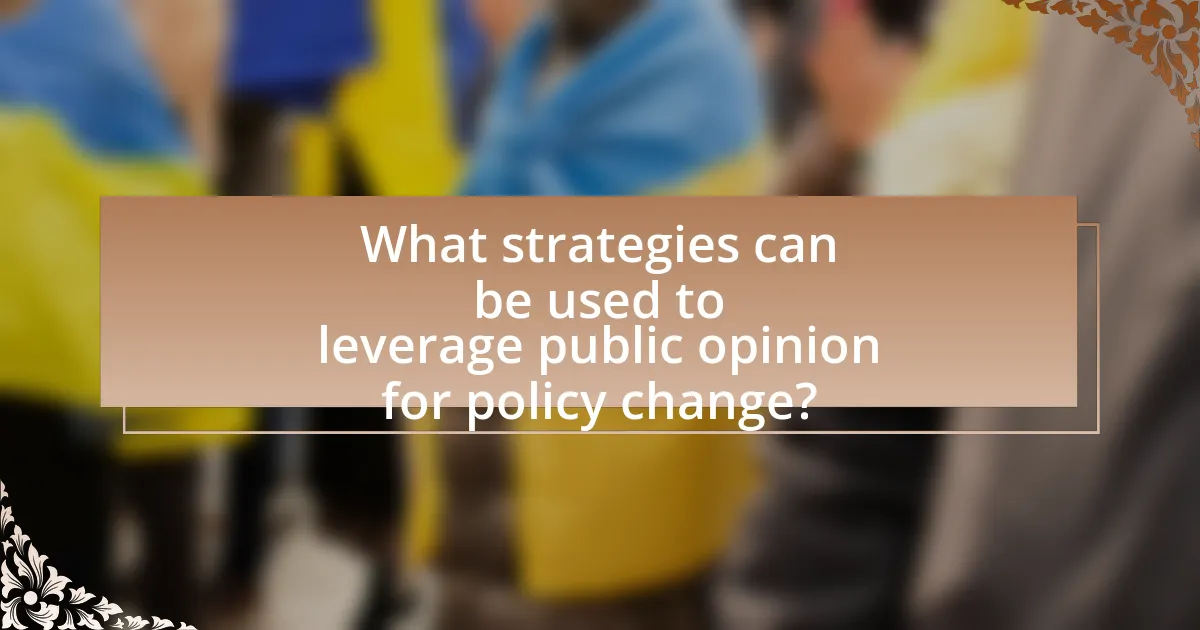 What strategies can be used to leverage public opinion for policy change?
